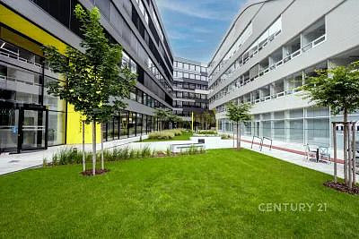 Pronájem kanceláře 490 m² – fotografie 2