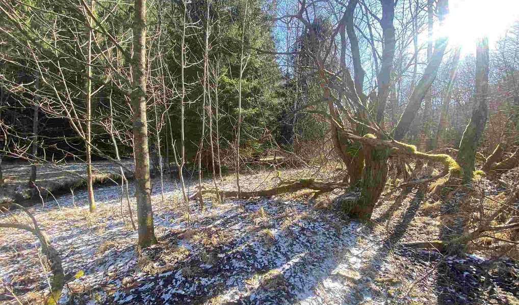 Prodej pole 10 377 m², Čachrov – náhled fotky 3