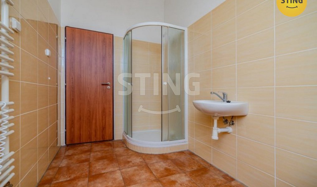 Pronájem skladovacích prostor 220 m², Mankovice – náhled fotky 9
