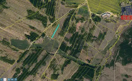 Prodej lesa 11 455 m², Opatov, okres Třebíč