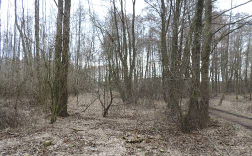 Prodej vodní plochy 5 090 m²