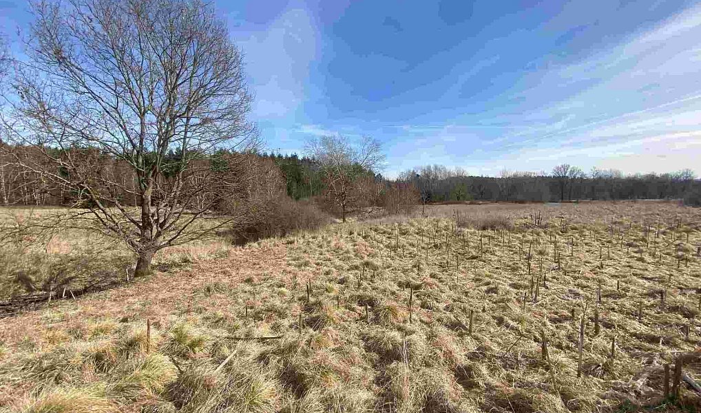 Prodej pole 15 408 m², Františkovy Lázně – náhled fotky 3