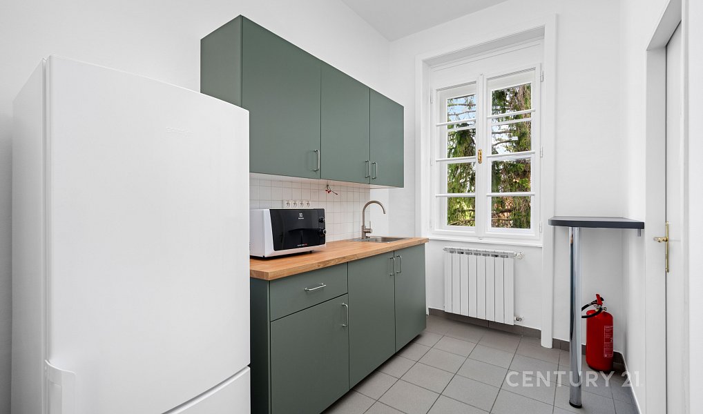 Pronájem kanceláře 160 m², Brno – náhled fotky 2