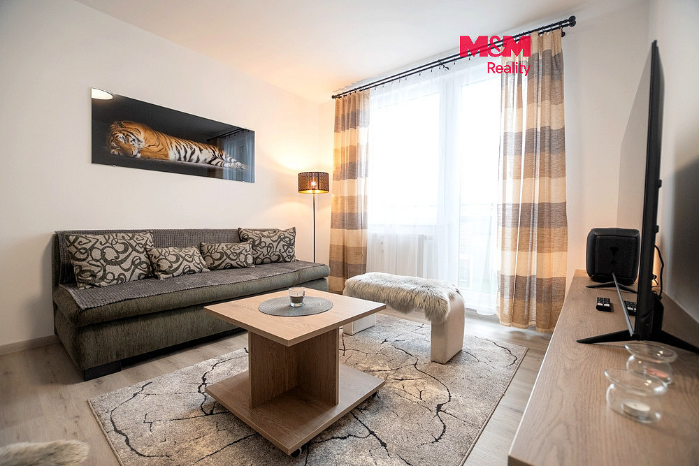 Pronájem bytu 1+1 36 m²