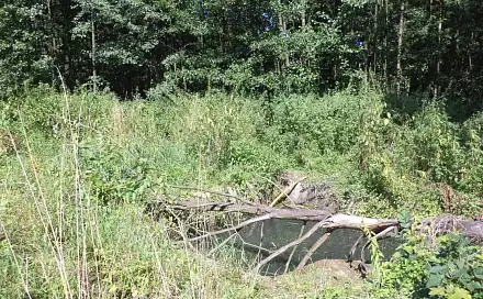 Dražba pozemku 4 529 m², Stonava