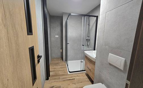 Prodej bytu 3+1 60 m², Pod Koníčky, Klatovy - Klatovy II