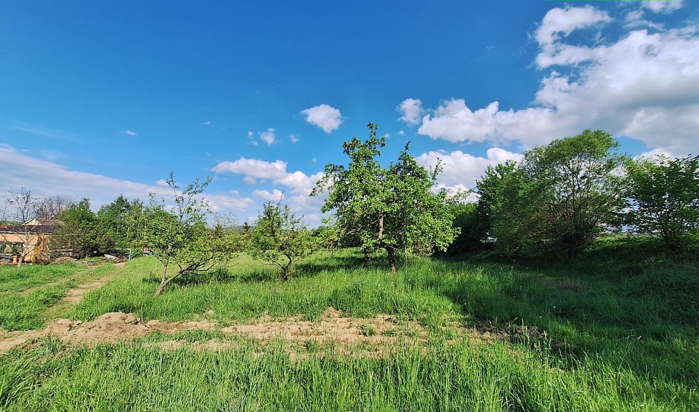 Prodej stavebního pozemku 2 975 m², Dražovice – náhled fotky 6