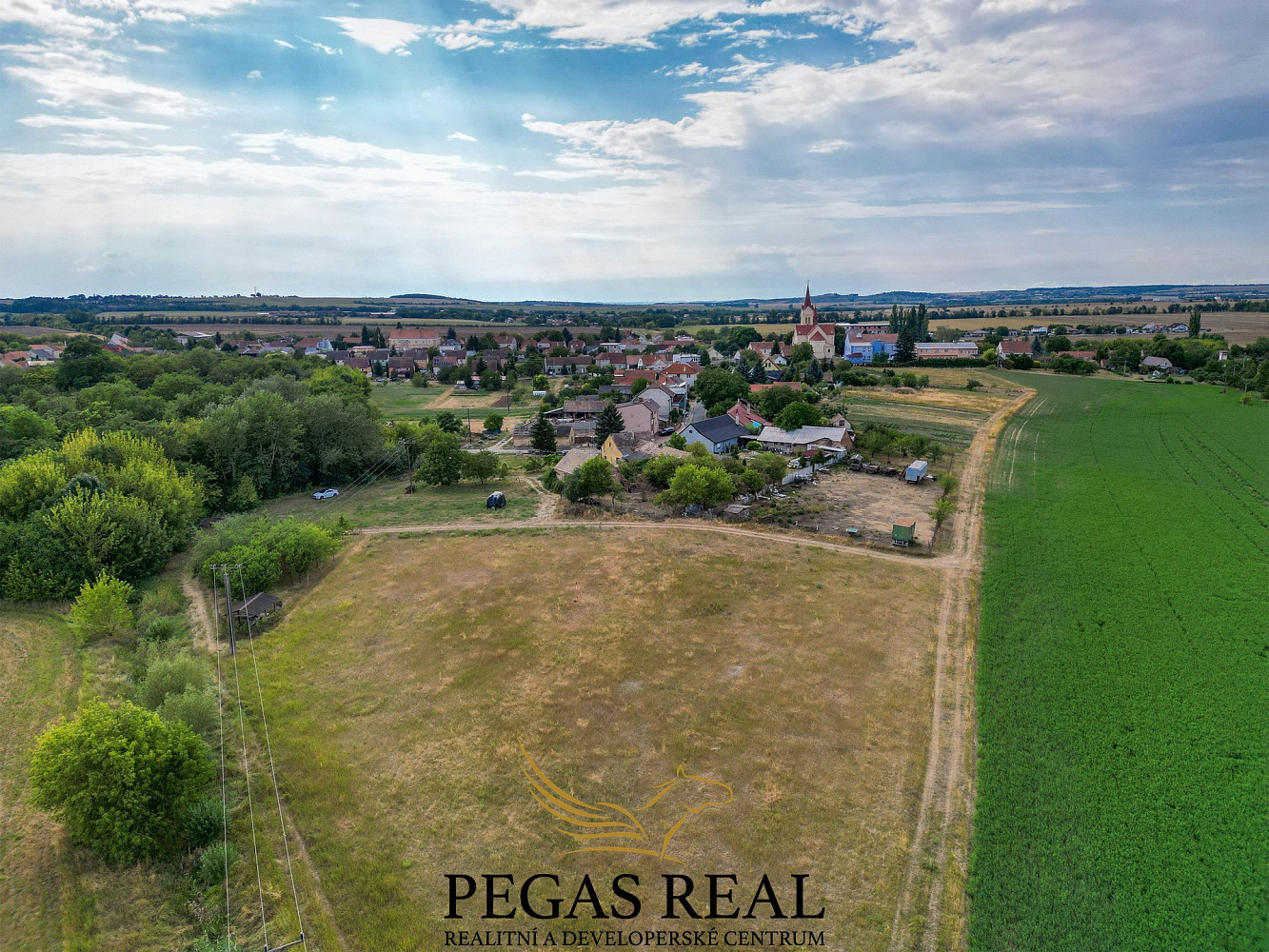 Prodej pole 4 688 m² – fotografie 4