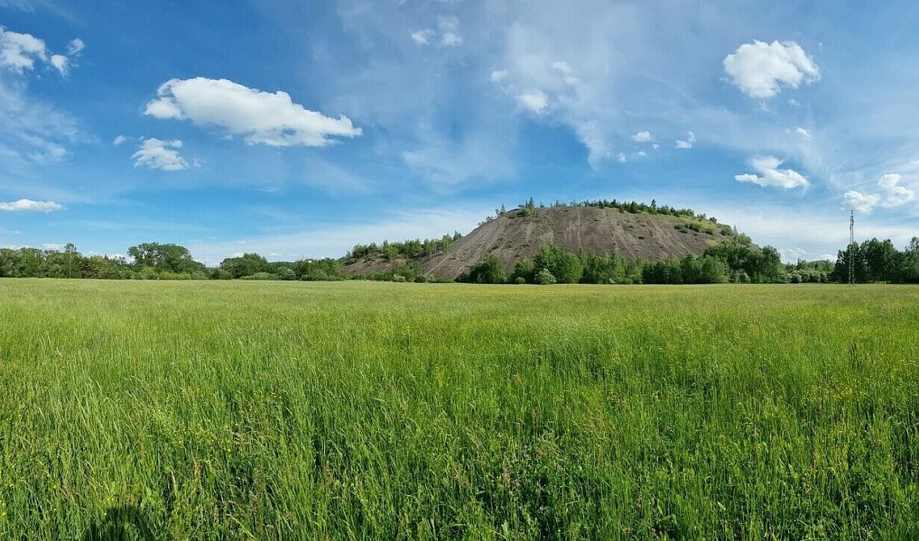 Prodej domu 153 m² s pozemkem 30 495 m², Příbram – náhled fotky 25