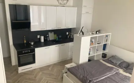 Pronájem bytu 1+kk 27 m²