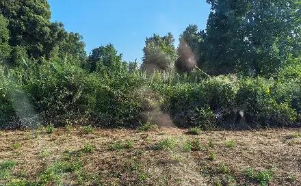 Prodej pole 1 000 m², Ližnjan, Istarska županija, Chorvatsko