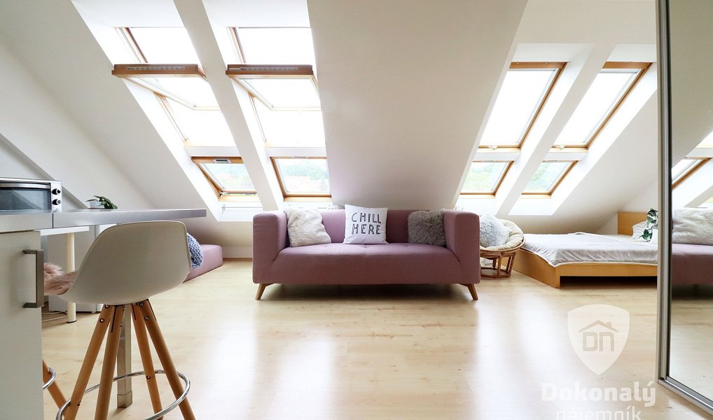 Pronájem bytu 1+kk 45 m², Praha – náhled fotky 4