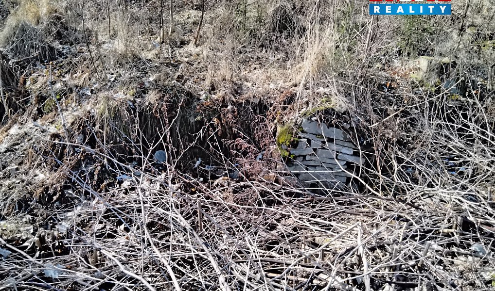 Prodej pozemku 12 588 m², Pstruží – náhled fotky 4