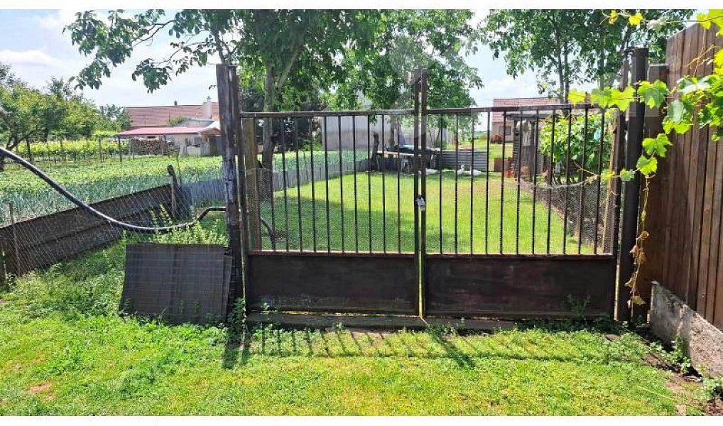 Prodej stavebního pozemku 1 313 m², Čejkovice – náhled fotky 12