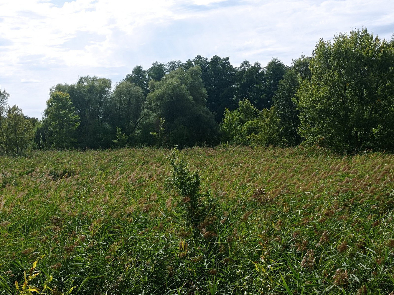 Prodej pozemku 6 724 m²