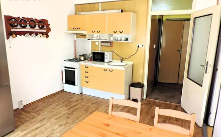Prodej bytu 1+1 41 m², Lidická, Ostrov, okres Karlovy Vary