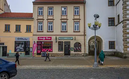 Prodej domu 1 603 m² s pozemkem 847 m², Masarykovo náměstí, Vyškov - Vyškov-Město