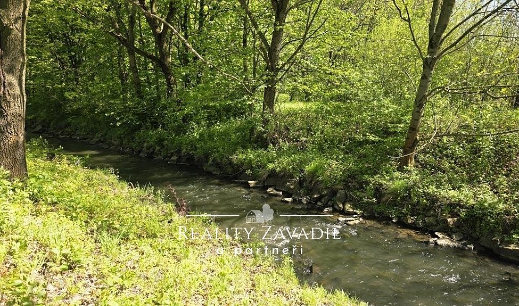 Prodej pozemku 32 500 m², Žabeň – náhled fotky 14