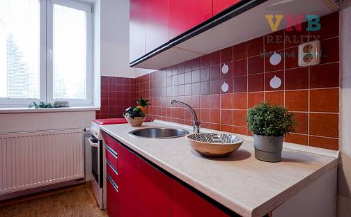 Prodej bytu 1+1 24 m², Táboritská, Třeboň - Třeboň II, okres Jindřichův Hradec