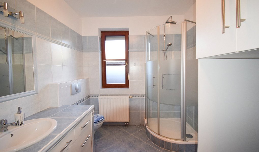 Pronájem domu 250 m² s pozemkem 775 m², Plzeň – náhled fotky 12