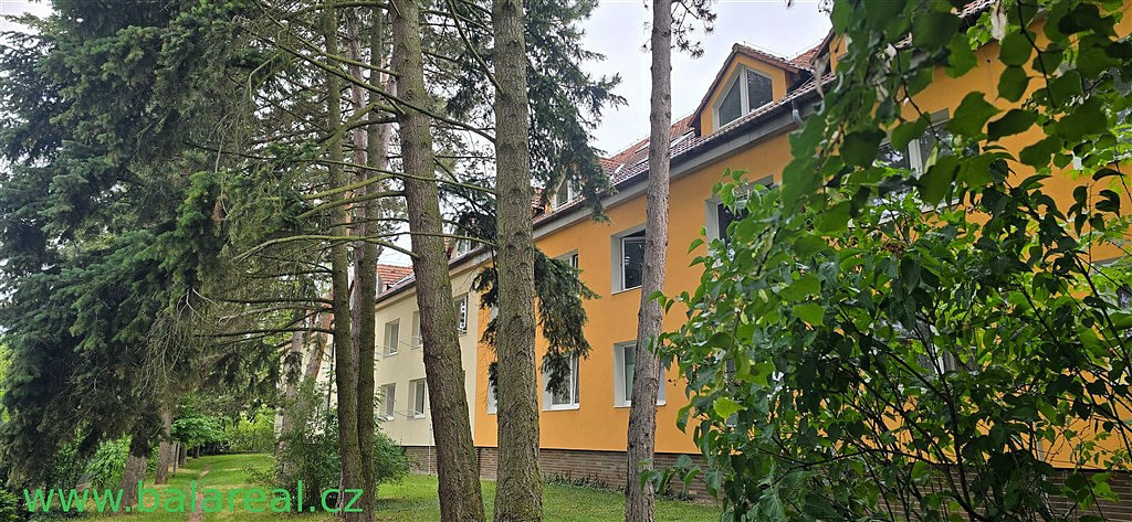 Pronájem bytu 1+kk 32 m² — photo 2