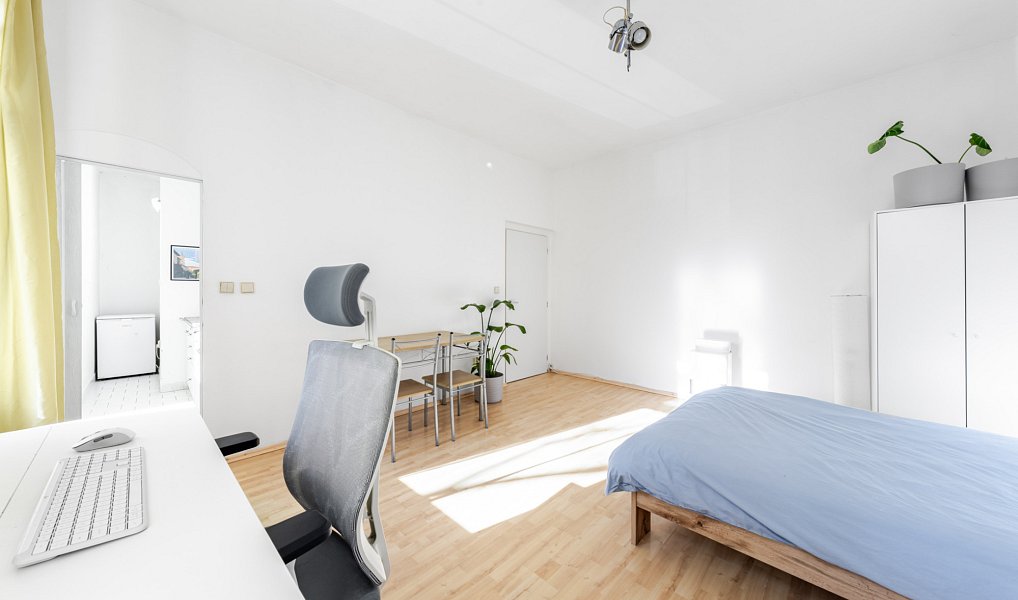 Prodej bytu 1+1 40 m², Plzeň – náhled fotky 4