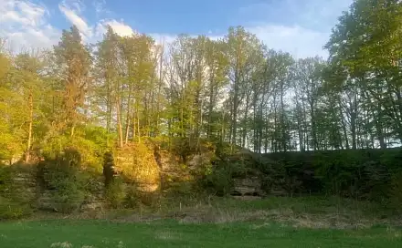 Dražba louky 3 829 m², Ždírec