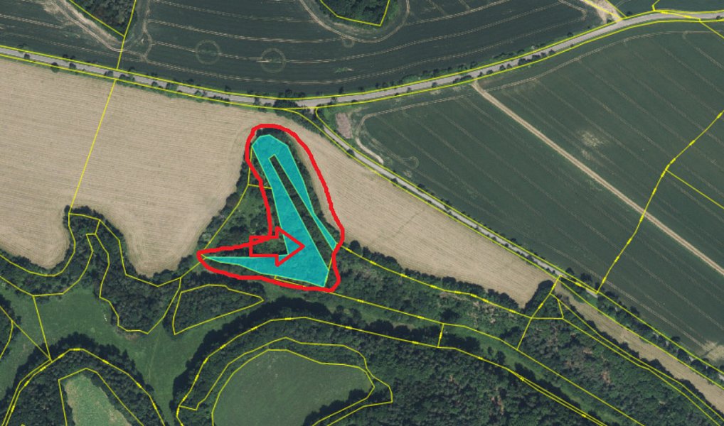 Prodej lesa 7 168 m², Bučovice – náhled fotky 5
