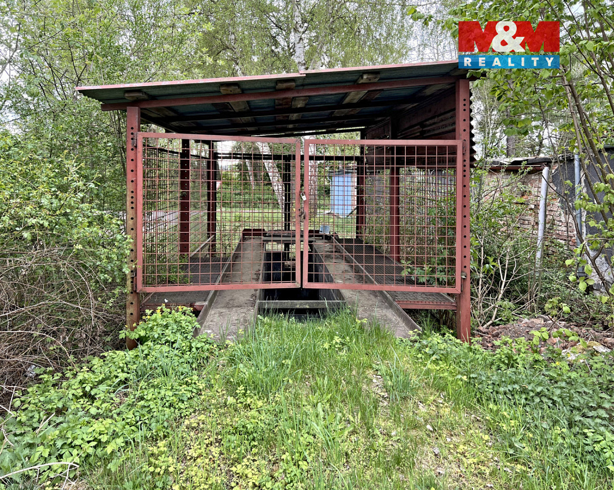 Fotka 9 z 11