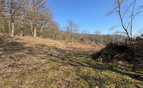 Prodej stavebního pozemku 1 286 m², Krupka - Bohosudov, okres Teplice