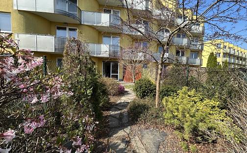 Pronájem bytu 1+kk 31 m², Okružní, Olomouc - Nová Ulice