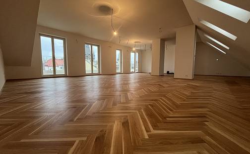 Prodej bytu 4+kk 160 m², Nekázanka, Praha 1 - Nové Město