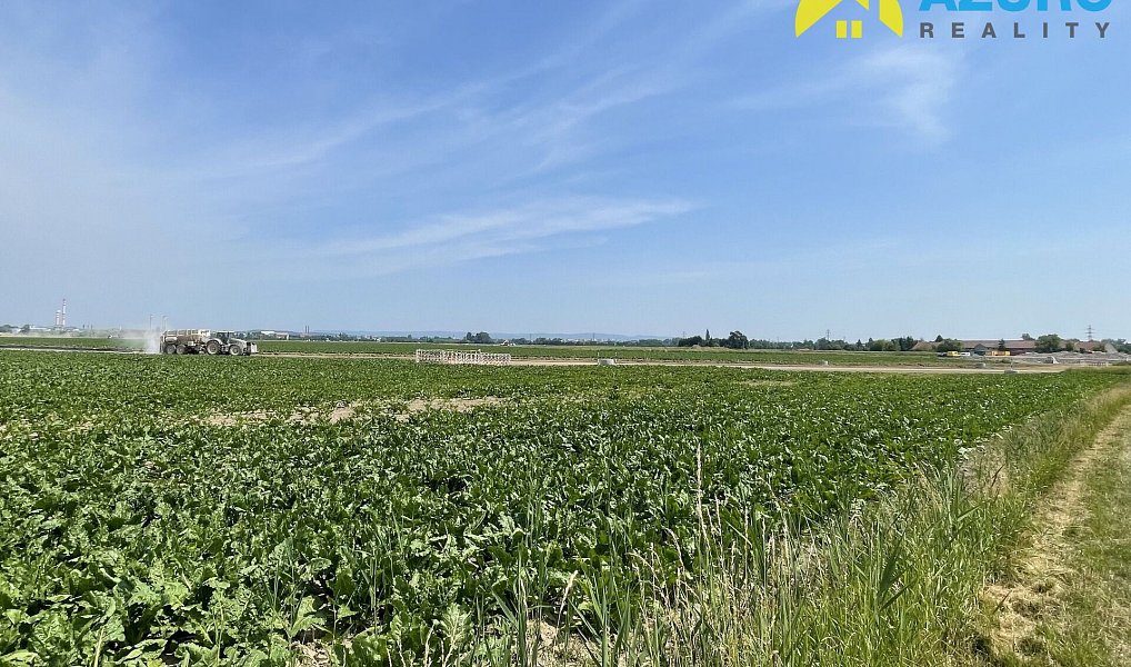 Prodej komerčního pozemku 1 456 m², Bochoř – náhled fotky 7
