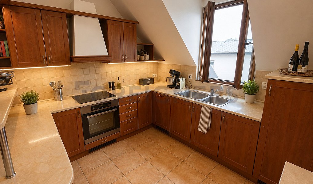 Pronájem bytu 4+kk 162 m², Olomouc – náhled fotky 3