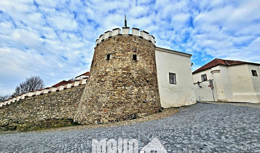 Prodej stavebního pozemku 1 134 m², Dobev – náhled fotky 12