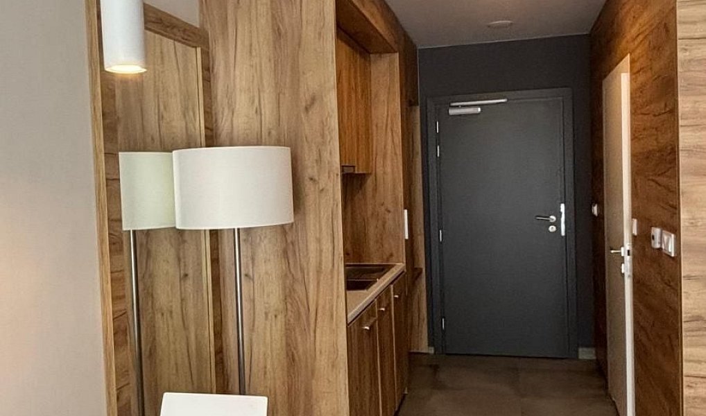 Prodej bytu 1+kk 28 m², Dolní Morava – náhled fotky 7