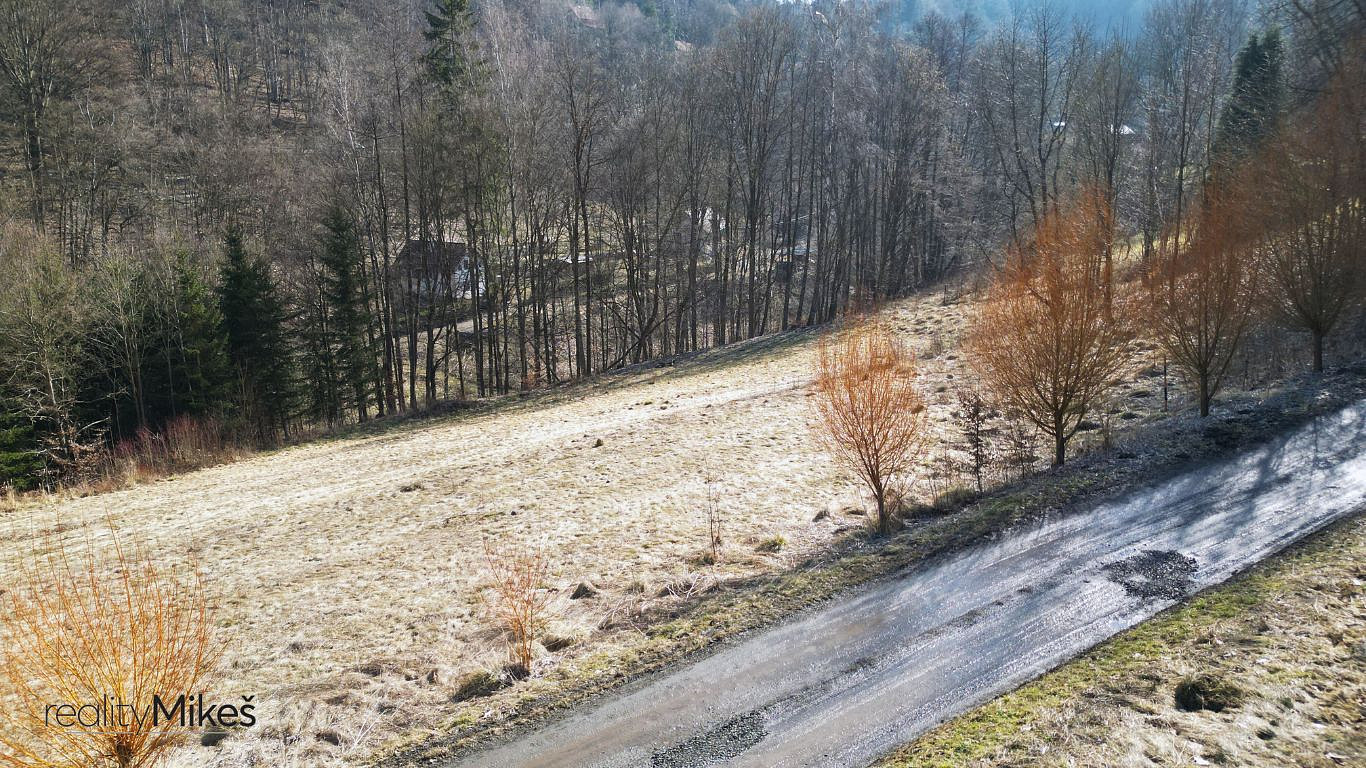 Fotka 9 z 12