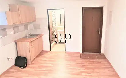 Pronájem bytu 1+kk 40 m², Dražeň, okres Plzeň-sever