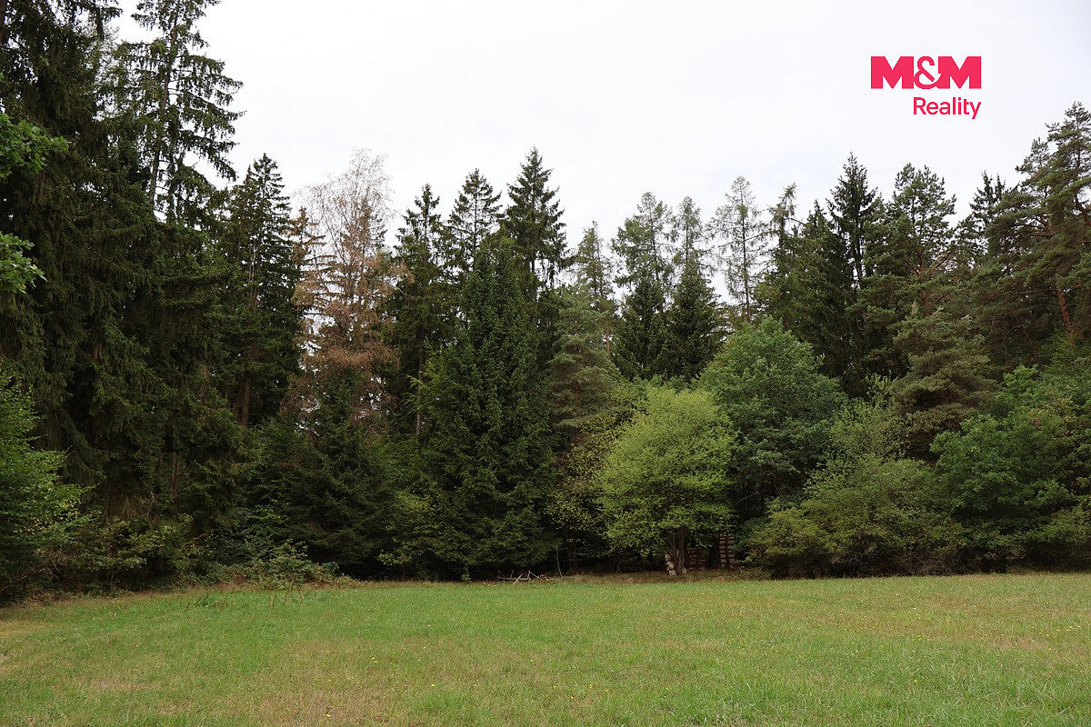 Prodej lesa 1 762 m² – fotografie 3