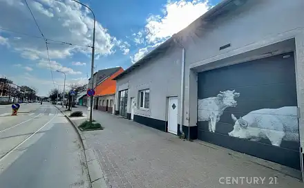 Pronájem bytu 5+kk 250 m²