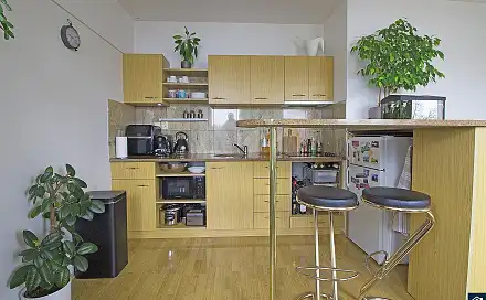 Pronájem bytu 1+kk 33 m², Záběhlická, Praha 10 - Záběhlice