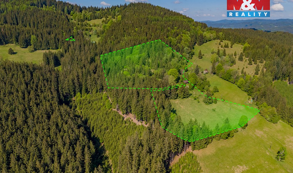 Prodej chaty/chalupy 60 m² s pozemkem 55 081 m², Velké Karlovice – náhled fotky 6
