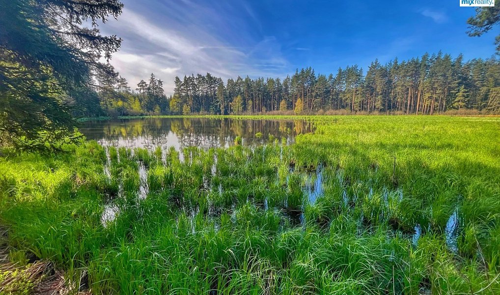 Prodej vodní plochy 16 545 m², Trstěnice – náhled fotky 9
