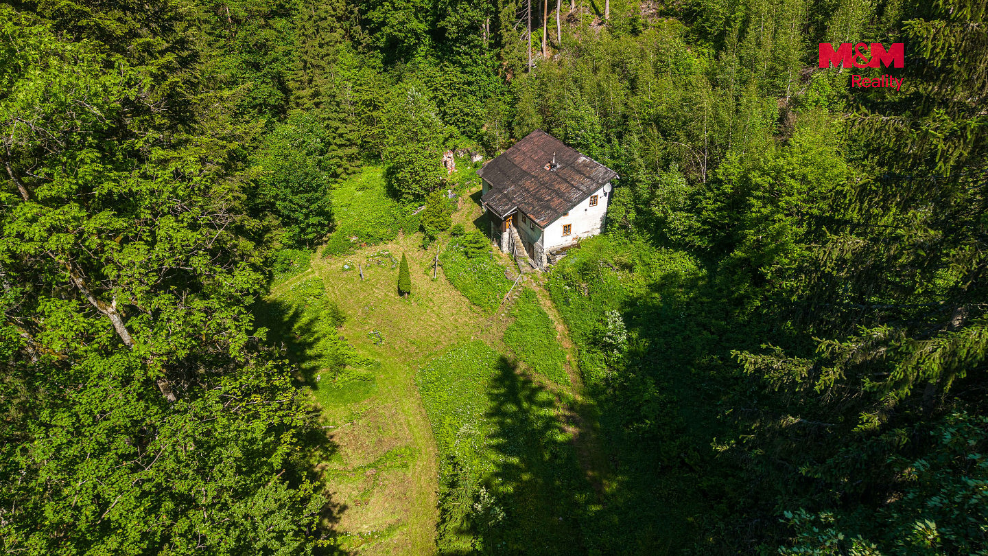 Prodej lesa 18 052 m² — photo 4