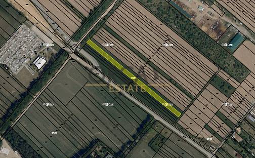 Prodej stavebního pozemku 2 177 m², Moravský Písek, okres Hodonín