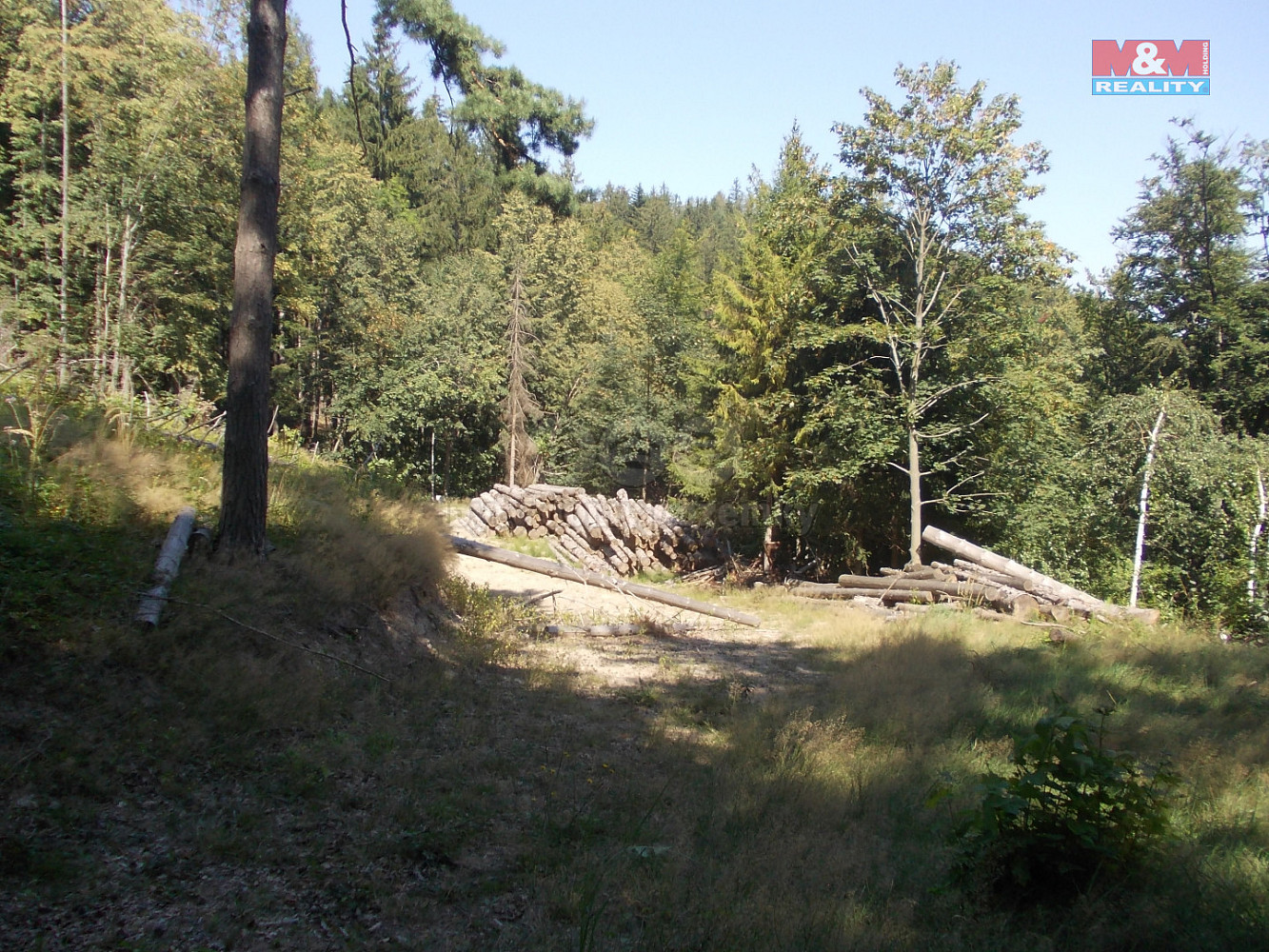 Prodej stavebního pozemku 3 955 m² – fotografie 2