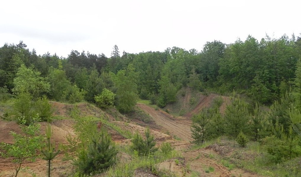 Prodej pozemku 32 257 m², Bohušov – náhled fotky 2
