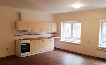 Pronájem bytu 1+kk 39 m², Javorník - Bílý Potok, okres Jeseník