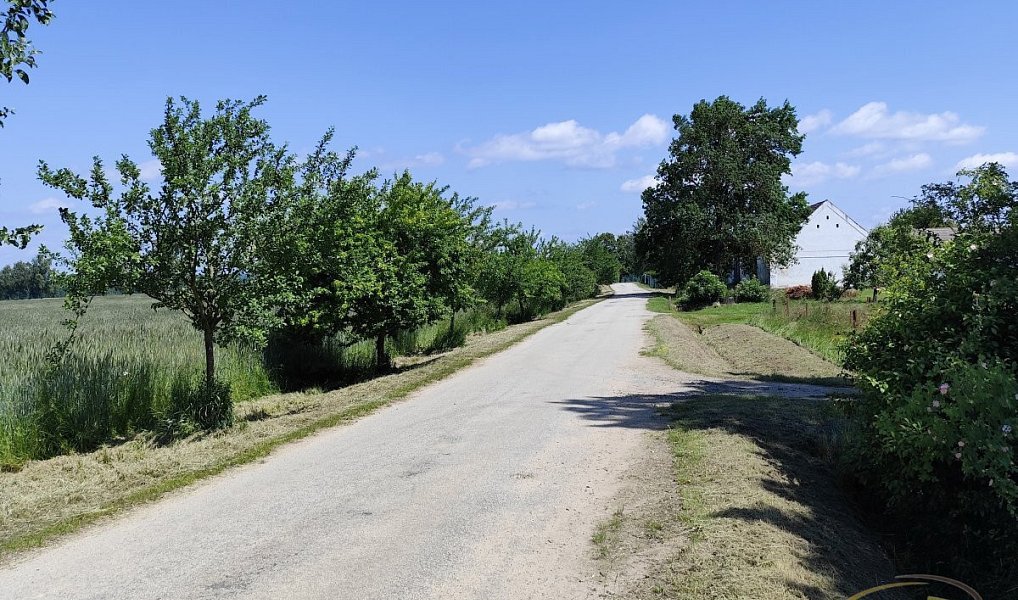 Prodej stavebního pozemku 1 176 m², Borovany – náhled fotky 4