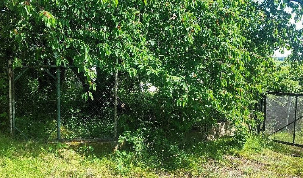 Prodej domu 75 m² s pozemkem 374 m², Praha – náhled fotky 13